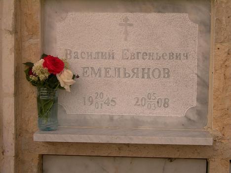 Василий Евгеньевич Емельянов (1945-2008)