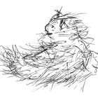 "koshvilia1.JPG", 2008